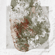 Projected urban growth in Colombo, Sri Lanka, overlain on biodiversity data. Dark green indicates remnant vegetation while lighter green indicates protected areas. Red areas are regions of expected urban-biodiversity conflicts in 2030. Image: Richard Weller / Hotspot Cities